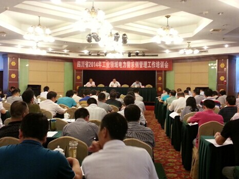四川省召開全省工業領域電力需求側管理工作培