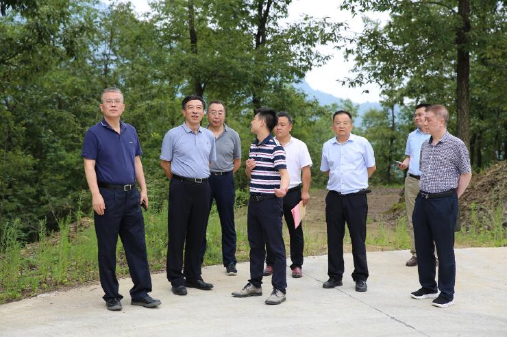 中國(guó)能建總經(jīng)理、黨委副書記孫洪水一行赴陜西鎮(zhèn)巴縣調(diào)研定點(diǎn)扶貧工作