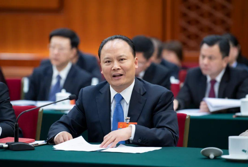 劉漢元代表：優化儲能發展模式 保障可再生能源有效消納