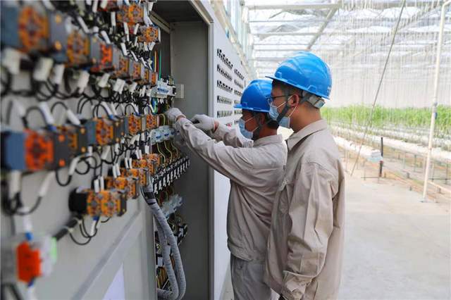 國網海安市供電公司:老區電氣化 農業有奔頭