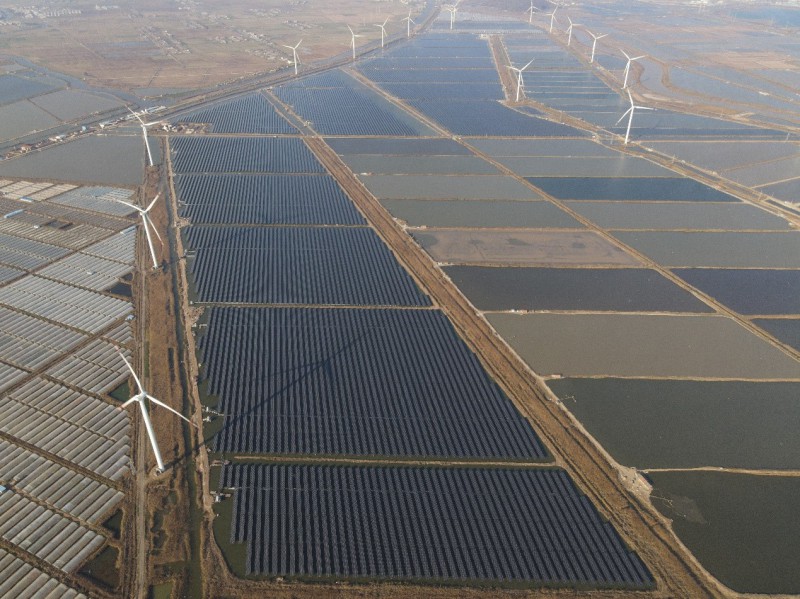 加速能源轉型｜江蘇省單體規模最大的平價上網示范項目成功并網