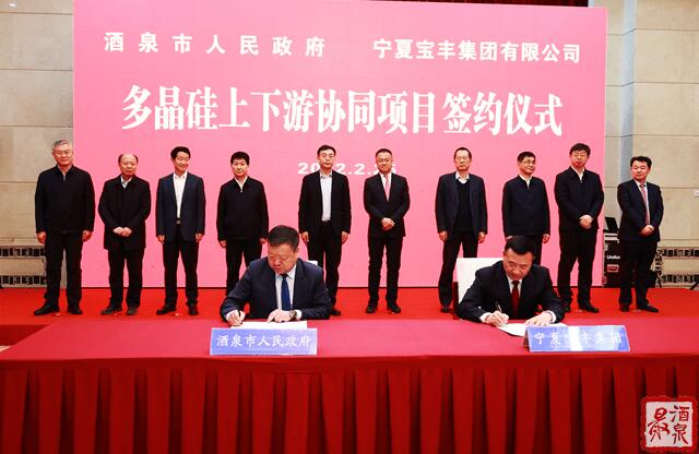 寶豐集團擬在寧夏建設35萬噸工業硅、30萬噸多晶硅、50GW拉晶切片、30GW電池組件