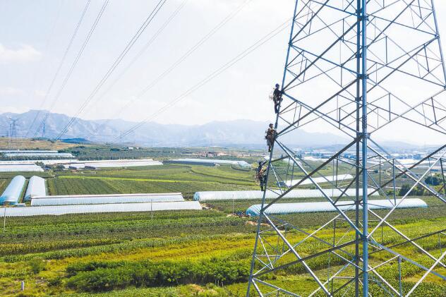 遼寧營口供電公司:黨建引領創新機制 全力服務企業用電