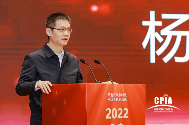 工信部楊旭東：推動光伏與新型儲能電池協同發展應用