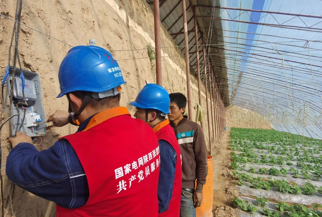 陜西延安：為鄉村全面振興做好供電服務