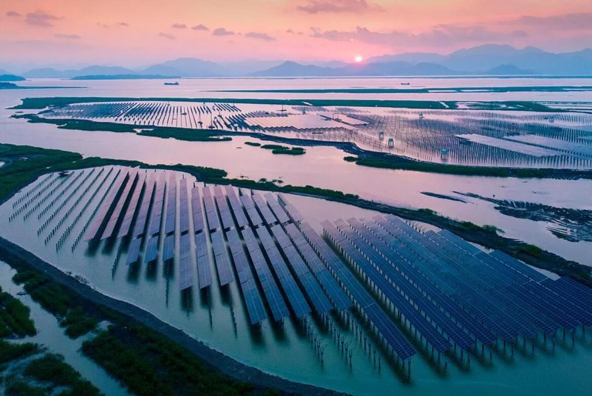 臺州首個工商業企業光儲一體數字化能源項目落地玉環