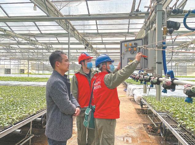 湖北省宜城市：供電服務再提升 產業興旺村民富