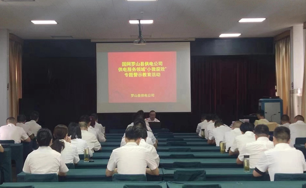 國網羅山縣供電公司:開展警示教育 預防“小微腐敗”