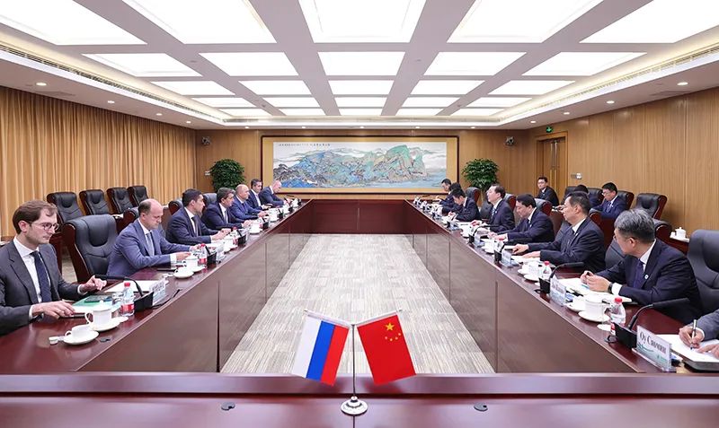 國家電網公司董事長辛保安與俄羅斯電網公司總裁柳明會談