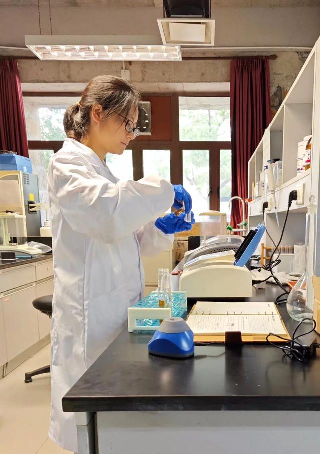 寶山這位博士后探索“氫轉甲烷”科創路徑,推動清潔能源制氫