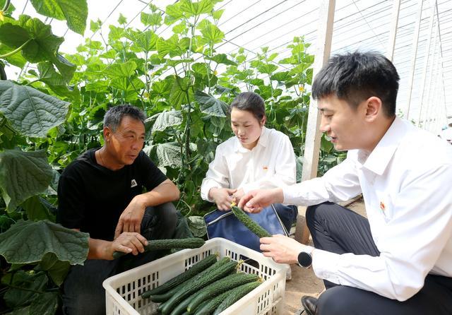 國網溫縣供電公司打好監督主動仗 優化環境促發展