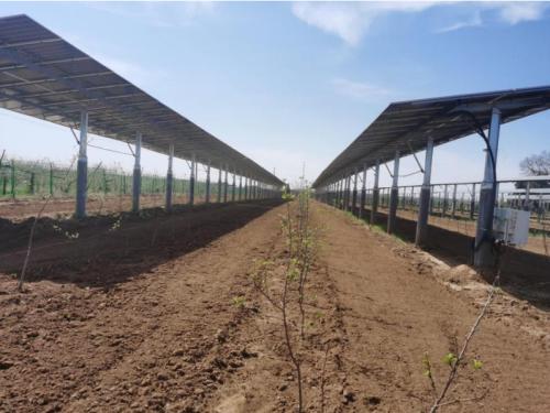 中國能建中電工程陜西院投建營的麻洞川農光互補光伏發電項目實現全要素運行