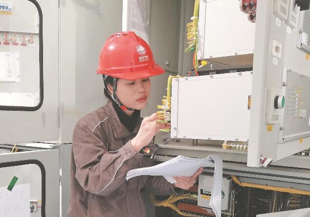 顏嘉:電網基建項目建管挑大梁