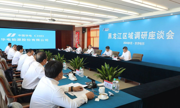 華電集團黨組副書記總經理葉向東調研黑龍江齊齊哈爾區域企業