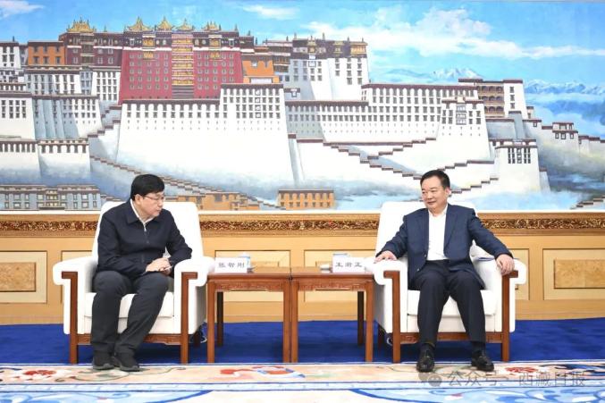 西藏自治區黨委書記王君正與國家電網公司董事長、黨組書記張智剛座談