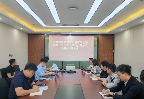 華潤電力華中大區順利召開第一團支部團員大會