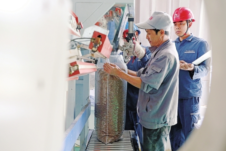 貴州興仁供電局 “薏”氣風發電護航