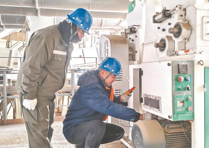 黑龍江龍江縣供電公司延伸服務更換故障電纜 幫企業解決用電難題