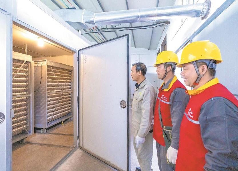 重慶長壽：禽產業電氣化孵化養殖