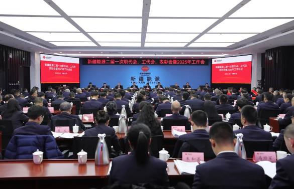 國(guó)能新疆能源召開(kāi)二屆一次職代會(huì)、工代會(huì)、表彰會(huì)暨2025年工作會(huì)