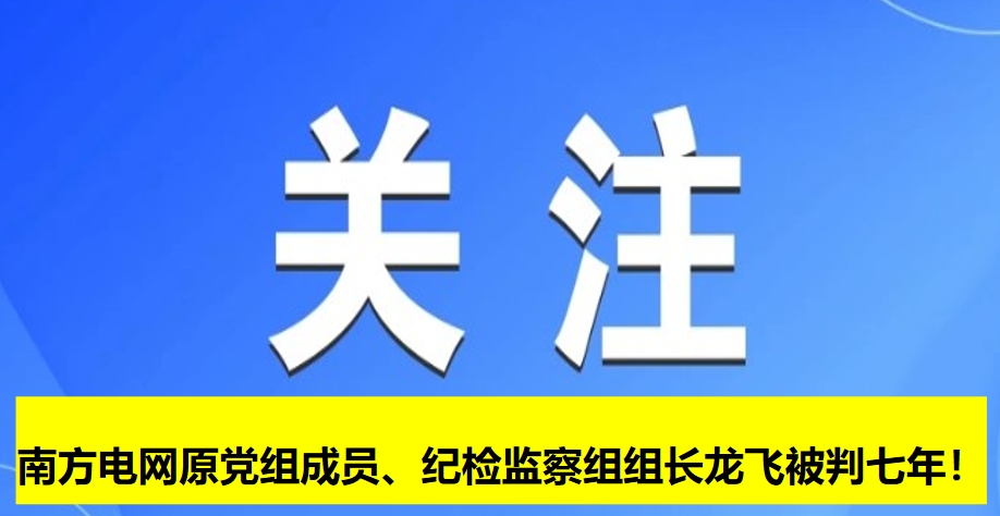 南方電網原黨組成員、紀檢監察組組長龍飛被判