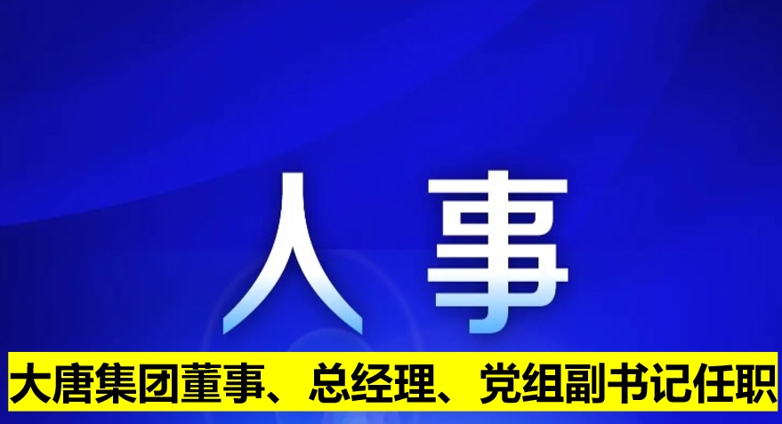 大唐集團(tuán)董事、總經(jīng)理、黨組副書記任職