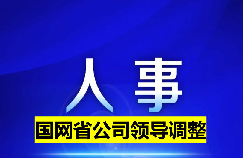 國網省公司領導調整